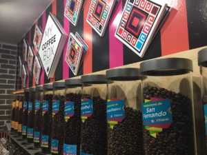 cafe de chiapas en monterrey nuevo leon mycoffeebox organico altura comercio justo pequenos productores