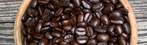 cafe selva lacandona mycoffeebox disponible en amazon