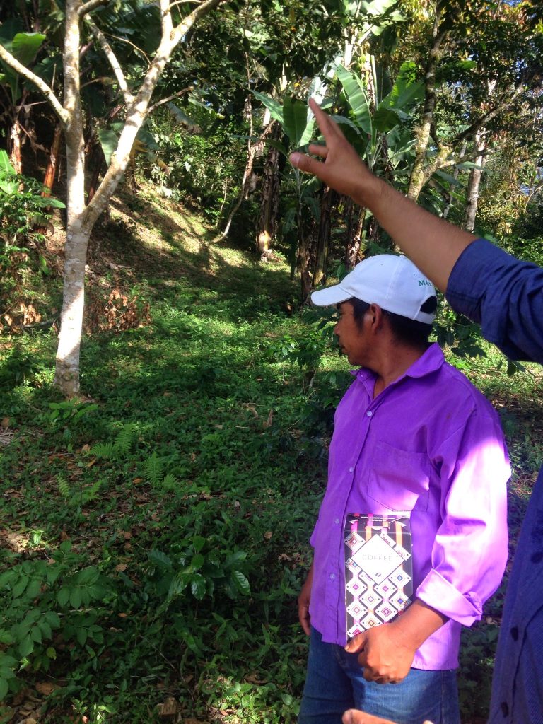 Pequeño productor de café orgánico sosteniendo una caja de MyCoffeeBox dentro de su cafetal en Chiapas