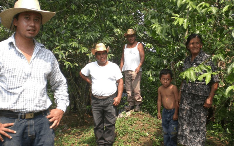 Familia de pequeños productores de café orgánico de Lagos de Montebello en su cafetal