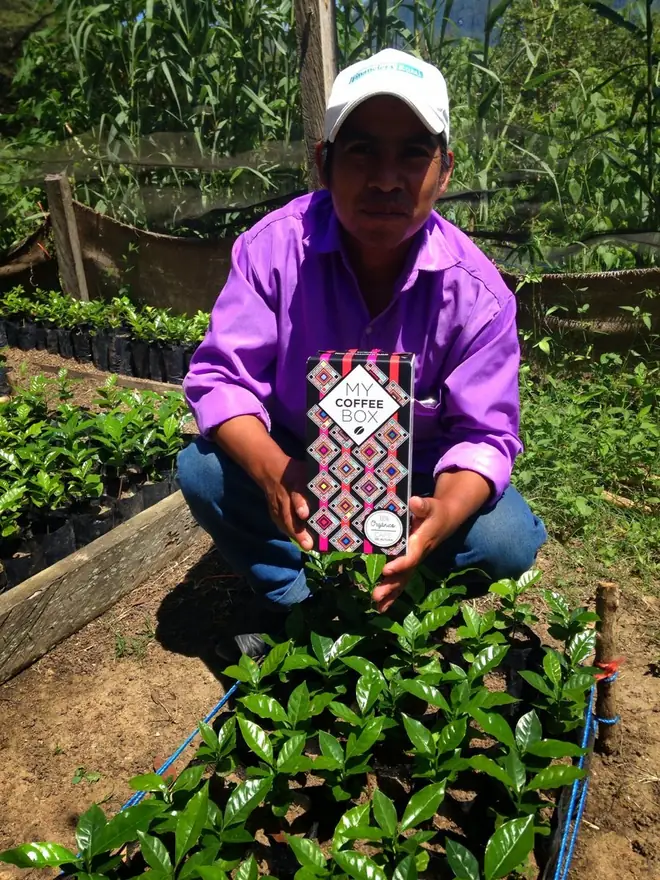 Pequeño productor de café orgánico de Chiapas con una caja de MyCoffeeBox en su cafetal